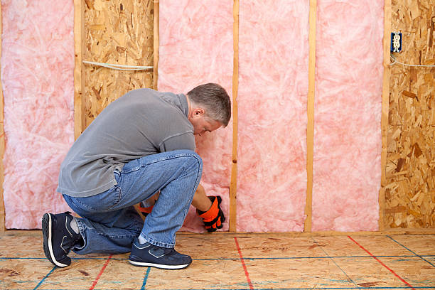 Best Insulation for New Construction  in Allen, TX